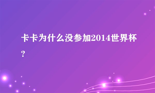 卡卡为什么没参加2014世界杯？