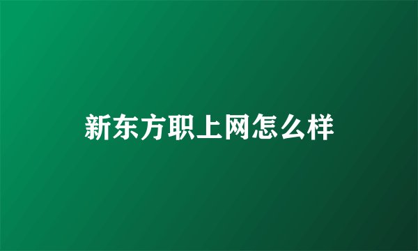 新东方职上网怎么样