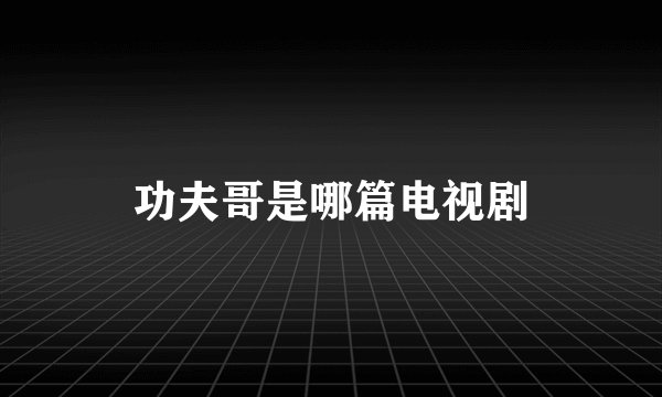 功夫哥是哪篇电视剧