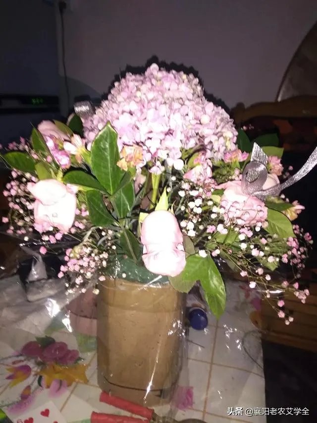 你会过洋人的节日吗?比如圣诞节,万圣节等?