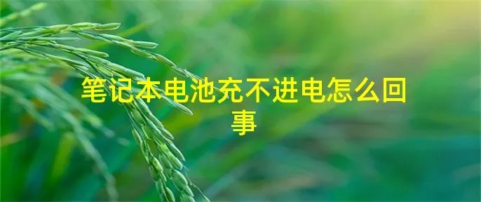 笔记本电池充不进电怎么回事