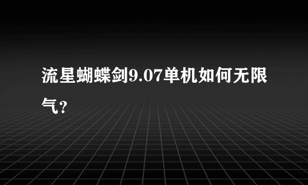 流星蝴蝶剑9.07单机如何无限气?