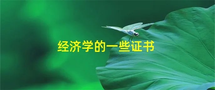 经济学的一些证书