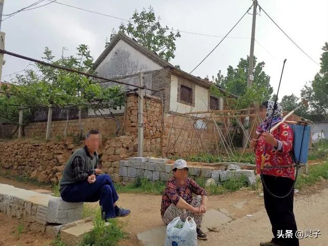 院子外墙用实墙好还是做护栏好?