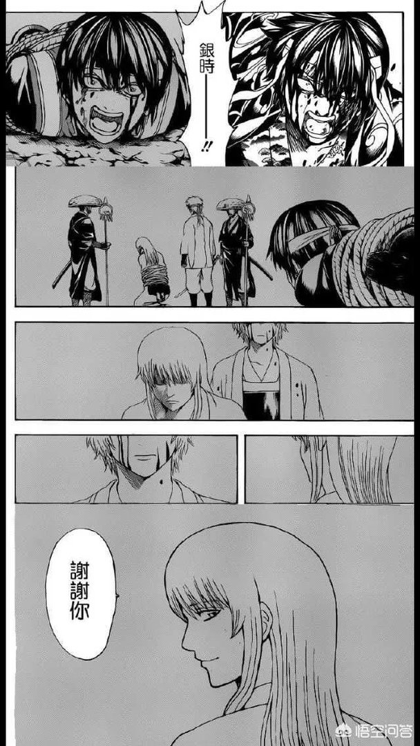 如何看待银魂漫画第519训？