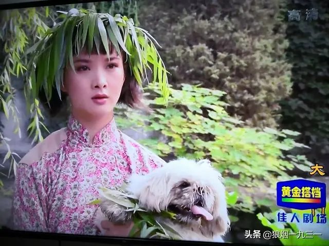 王宝强的母亲去世了,为什么媒体铺天盖地的报道?