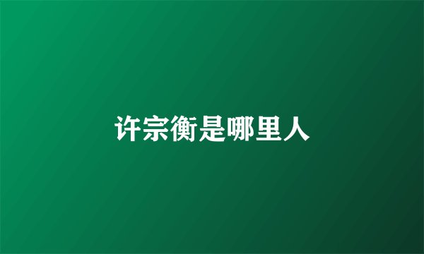 许宗衡是哪里人