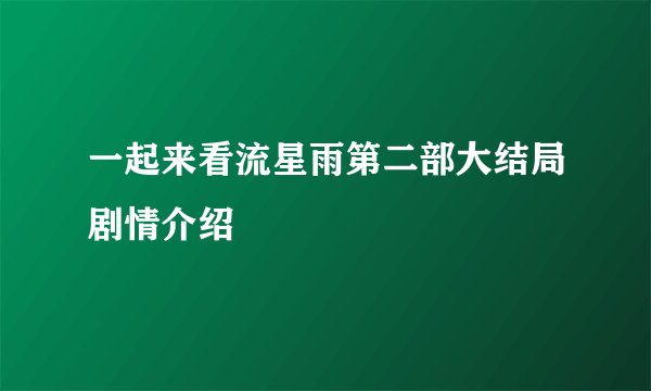 一起来看流星雨第二部大结局剧情介绍