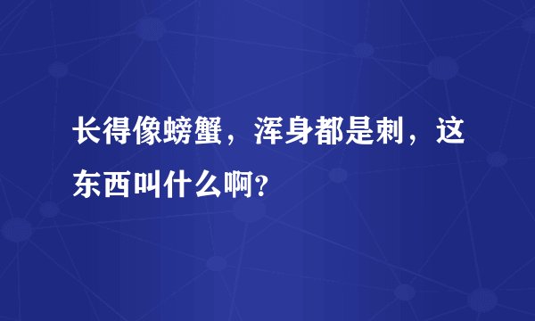 长得像螃蟹，浑身都是刺，这东西叫什么啊？