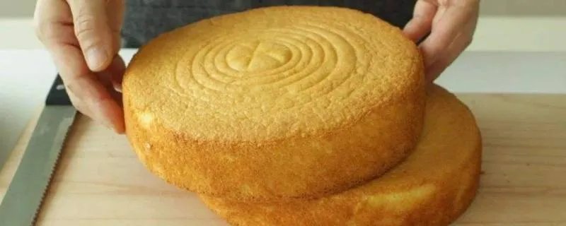 蛋糕胚是什么