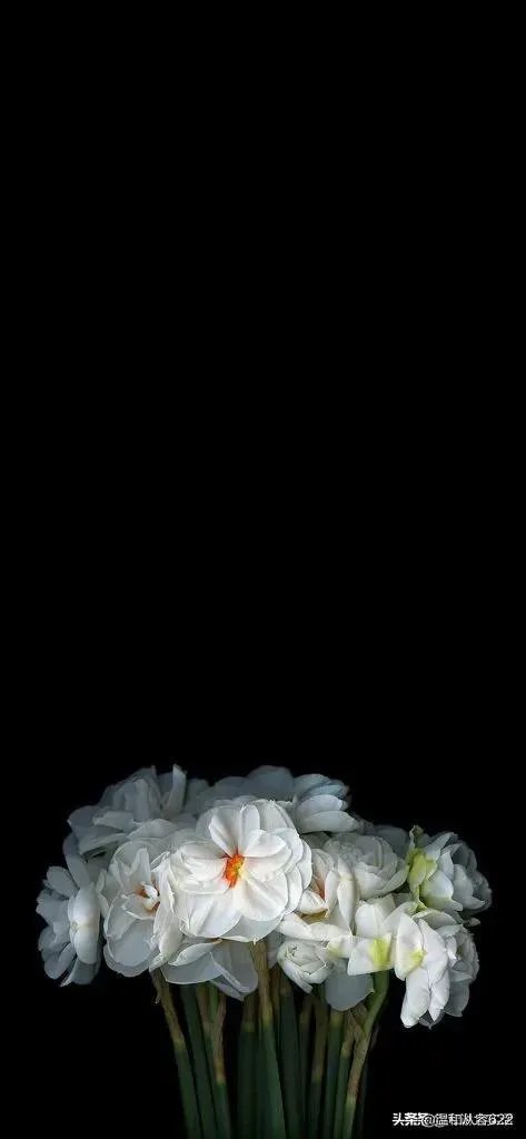 你觉得现在四小天王都是谁？哪一个最有才华？