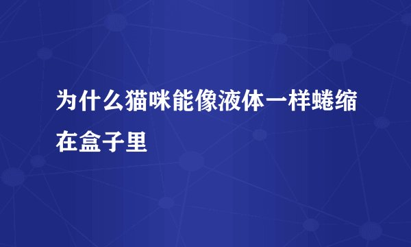 为什么猫咪能像液体一样蜷缩在盒子里