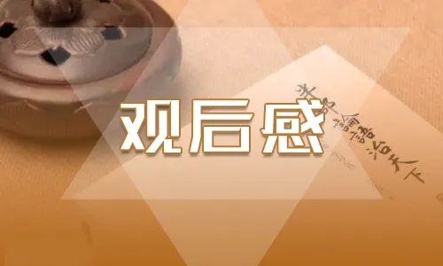 观看新华社美育云端课堂直播观后感范文