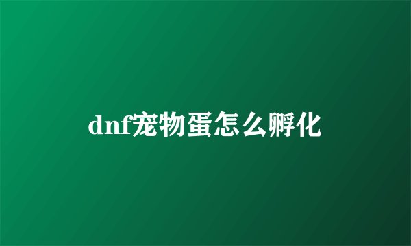 dnf宠物蛋怎么孵化