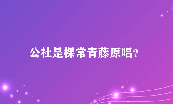 公社是棵常青藤原唱?