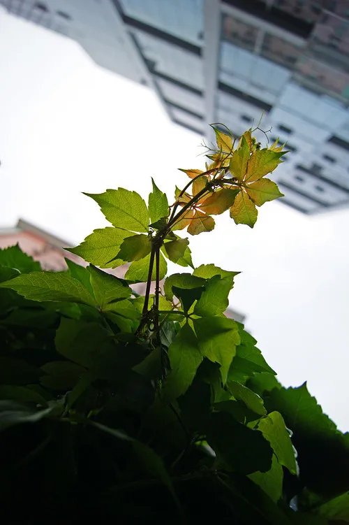 从套头到标头 小峰的摄影发烧之路全记录