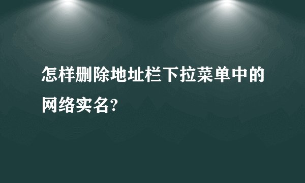 怎样删除地址栏下拉菜单中的网络实名?