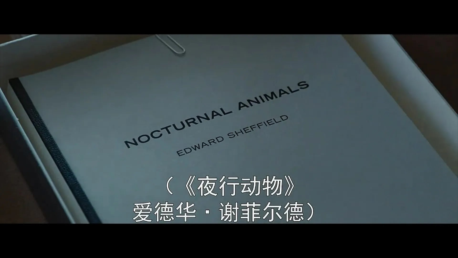 《夜行动物》是一部怎样的电影?