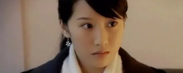 李念主演的电视剧有哪些