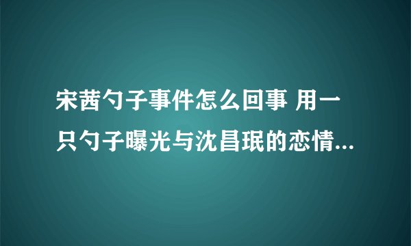 宋茜勺子事件怎么回事 用一只勺子曝光与沈昌珉的恋情 - 娱乐八卦 - 飞外网