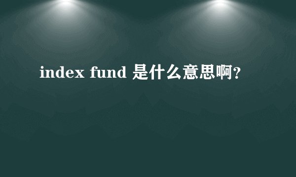 index fund 是什么意思啊?