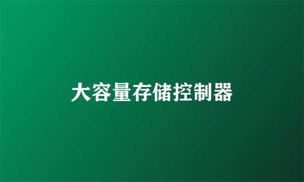 大容量存储控制器