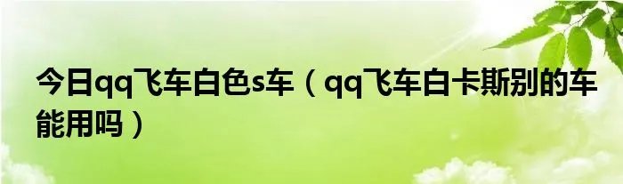 今日qq飞车白色s车（qq飞车白卡斯别的车能用吗）