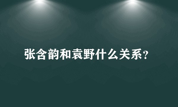 张含韵和袁野什么关系？