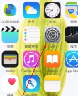 10106699打电话干嘛
