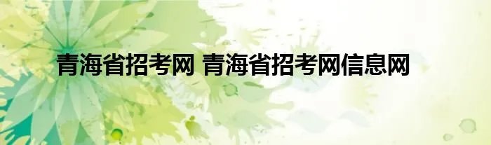 青海省招考网 青海省招考网信息网