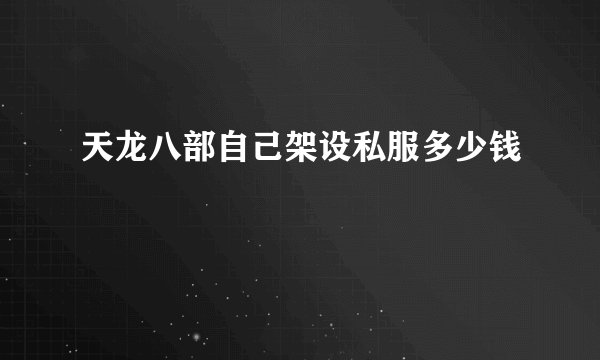 天龙八部自己架设私服多少钱