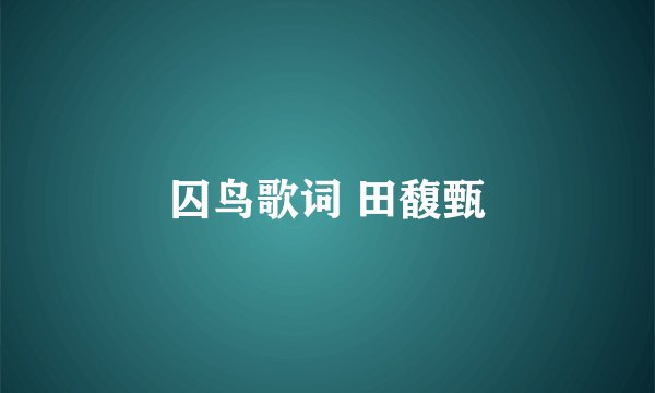 囚鸟歌词 田馥甄