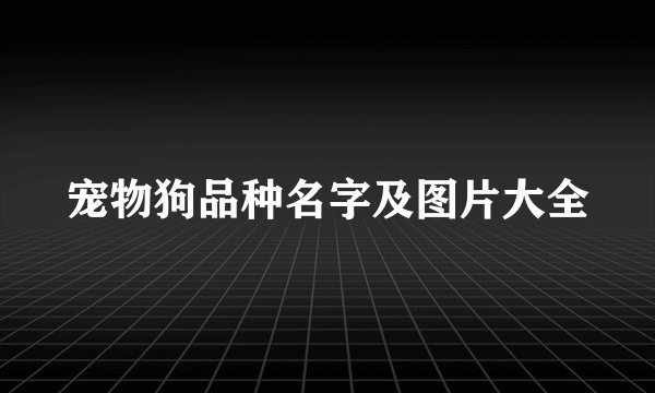 宠物狗品种名字及图片大全