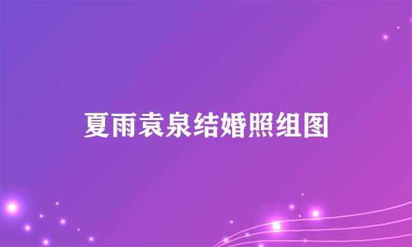 夏雨袁泉结婚照组图