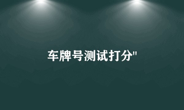 车牌号测试打分