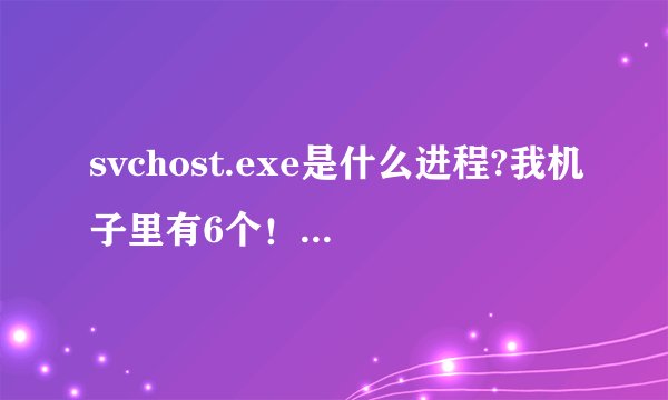 svchost.exe是什么进程?我机子里有6个！360报警说该进程影响了速度 cpu使用率100%是否可以删除几个？