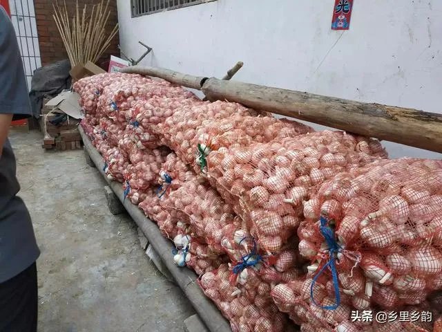 大蒜降价了