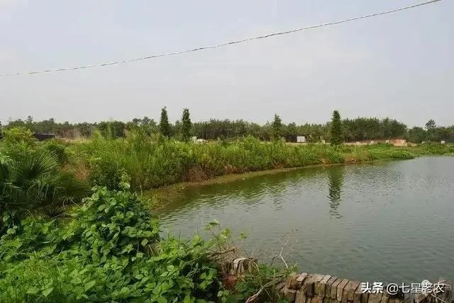 池塘里没有放鱼，但是过一段时间有小鱼了，是怎么产生的呢？
