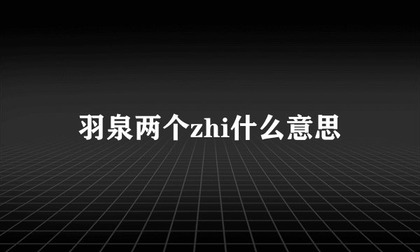 羽泉两个zhi什么意思