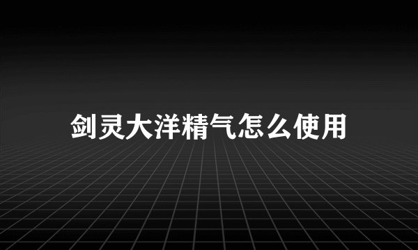 剑灵大洋精气怎么使用