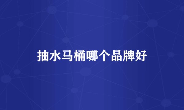 抽水马桶哪个品牌好