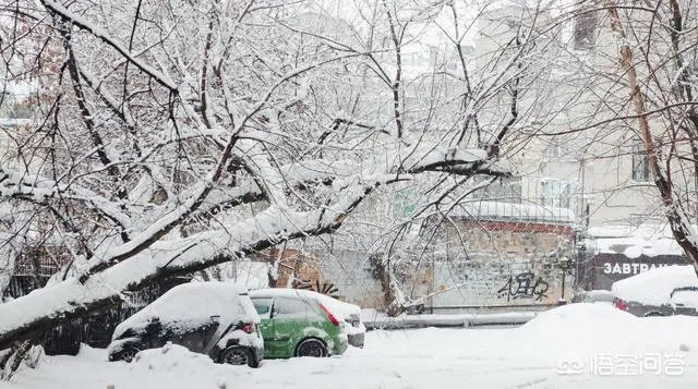 为什么说俄罗斯莫斯科2月3、4日的降雪是“世纪大雪”,人们的生活受到哪些影响?