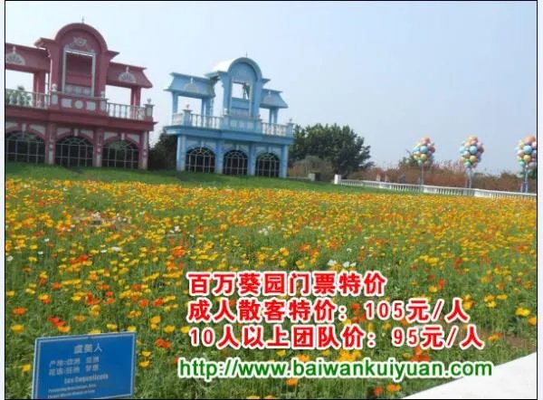 百万葵园什么时候去最好?