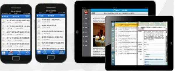 电子政务软件开发公司在国内有哪些做得专业的