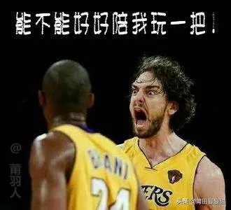 cba最佳防守阵容 汉密尔顿