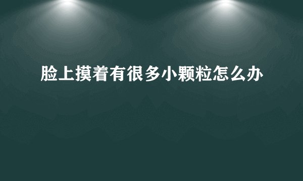 脸上摸着有很多小颗粒怎么办