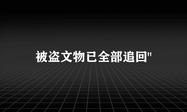 被盗文物已全部追回