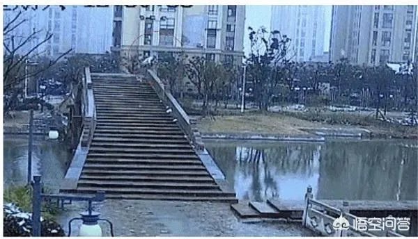 如何看待上海六旬老人赤膊跳入河中救人？