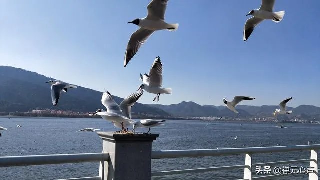 2021年的春节你是怎么过的?