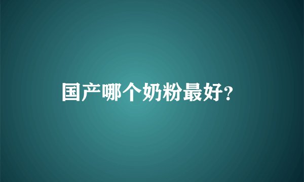 国产哪个奶粉最好？